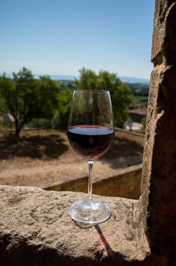 Yeşil üzümler yuvarlak çakıl taşları üzerinde yetişiyor. Meşhur şarabın yakınındaki tepe üzüm bağlarında. Kadim bir köy olan Chteauneuf du Pape, Provence, Fransa