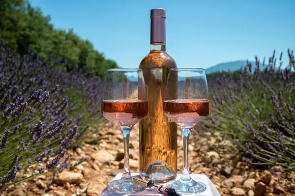 Purple Lavender Flowers Fields Blossom Valensole Provence Glass Bottle Rose — Stock Photo, Image