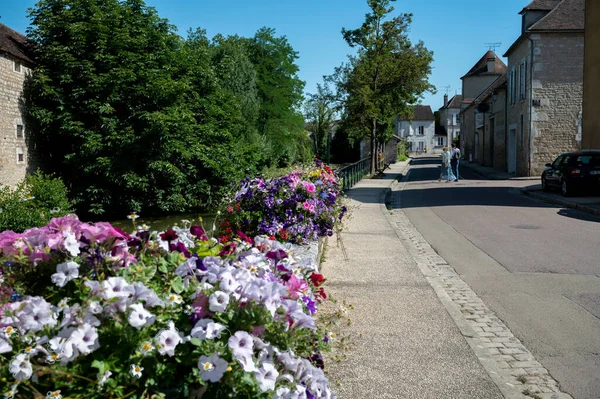 North Burgundy Wine Making Region Walking Chablis Village Famous White — ストック写真