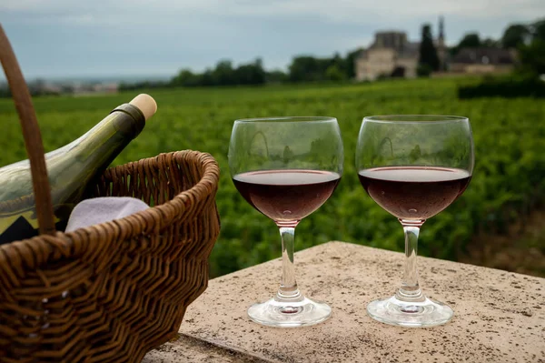 Green grapevines growing on rounded pebbles on hilly vineyards near famous wine making ancient village Chteauneuf du Pape, Provence, France