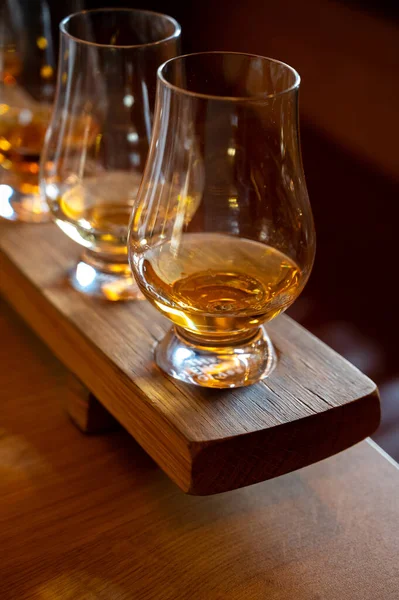 Flight Single Malt Scotch Whisky Glasses Served Bar Edinburgh Tasting — 스톡 사진
