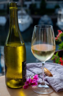 Port Grimaud 'un yat limanında manzaralı soğuk beyaz şarap içmek, Fransa' nın Provence şehrinde Fransız Rivierası 'nda yaz tatili