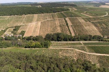 Aerial view on green Chablis Grand Cru appellation vineyards with grapes growing on limestone and marl soils, Burdundy, France