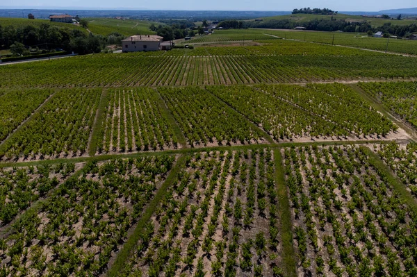 Letecký Pohled Zelené Vinice Vesnice Blízkosti Mont Brouilly Víno Appellation — Stock fotografie