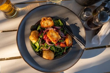 Sağlıklı vejetaryen Akdeniz yemekleri, ızgara Halloumi peynirli salata yeşil salata, soğan, salatalık ve sirke.