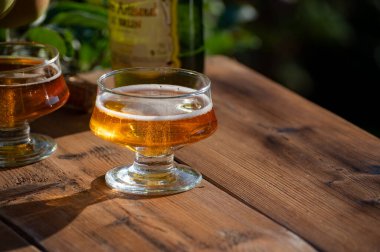 Tasting of fresh apple cider brut produced on organic farm from bio apples in Normandy, France with apple tree on background