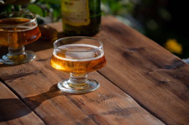 Tasting of fresh apple cider brut produced on organic farm from bio apples in Normandy, France with apple tree on background
