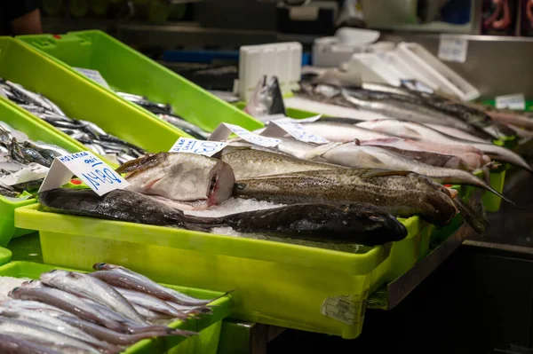 Assortiment Van Verse Dagelijkse Vangsten Van Vis Schelpen Weekdieren Ijs — Stockfoto