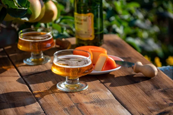 Food Drink Pairing Apple Cider Glasses Produced Organic Farm Bio — Foto de Stock