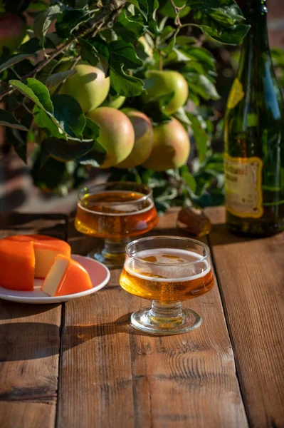 Food and drink pairing, apple cider in glasses produced on organic farm from bio apples in Normandy, France and farmers cheddar cheese from England