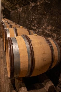 Stages of wine production from fermentation to bottling, visit to wine cellars in Cote d'Or, Burgundy, France, Aging in wooden barrels.