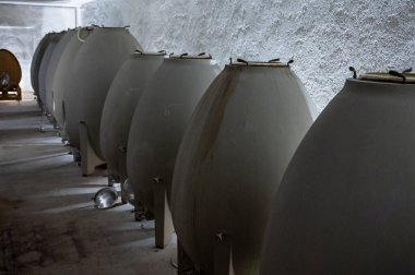 Stages of wine production from fermentation to bottling, visit to wine cellars in Cote d'Or, Burgundy, France, Aging in concrete eggs vats.