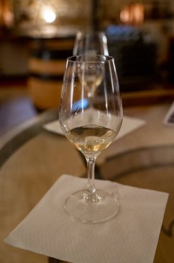 White wine tasting in underground cellars caves of French wine domain in Puligny-Motrachet village, Burgundy, France
