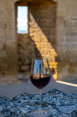 Wine tour with tasting of red dry wine and ruins of medieval castle of Chteauneuf du Pape ancient wine making village in France