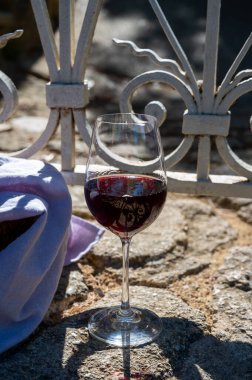 Kırmızı şarap tatma ve ortaçağ Chteauneuf du Pape şatosunun kalıntıları ile şarap turu Fransa 'da eski bir şarap köyü.