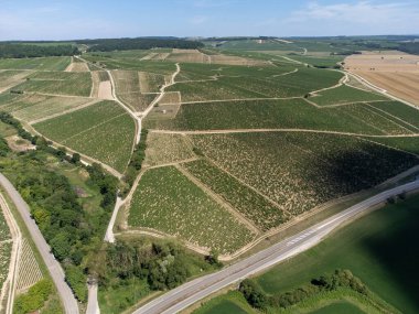Aerial view on green Chablis Grand Cru appellation vineyards with grapes growing on limestone and marl soils, Burdundy, France
