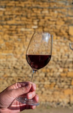 Kırmızı şarap tatma ve ortaçağ Chteauneuf du Pape şatosunun kalıntıları ile şarap turu Fransa 'da eski bir şarap köyü.