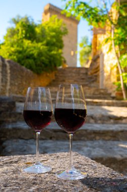 Wine tour with tasting of red dry wine and ruins of medieval castle of Chteauneuf du Pape ancient wine making village in France