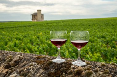 Mağaraları ziyaret edin ve Burgundy 'de şarap üreten ve arka planda şatosu olan bir bölge olan Burgundy' deki büyük ve büyük cru üzüm bağlarında cam şarap tadında kırmızı Pinot şarabı tatın.