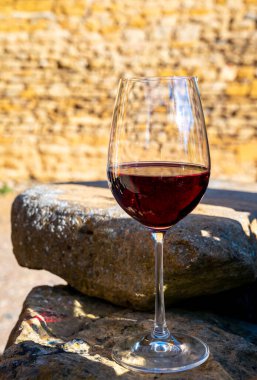 Kırmızı şarap tatma ve ortaçağ Chteauneuf du Pape şatosunun kalıntıları ile şarap turu Fransa 'da eski bir şarap köyü.