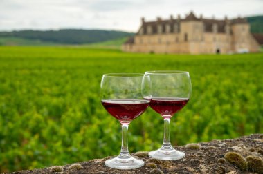 Mağaraları ziyaret edin ve Burgundy 'de şarap üreten ve arka planda şatosu olan bir bölge olan Burgundy' deki büyük ve büyük cru üzüm bağlarında cam şarap tadında kırmızı Pinot şarabı tatın.