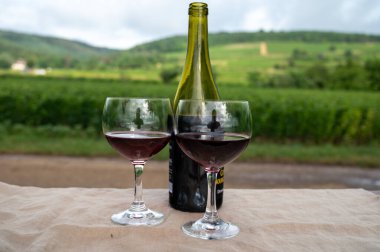 Üzüm bağları ve Beaujolais şarabı yakınlarındaki evler Beaujolais köyü, Beaujolais Şarap Yolu 'na giriş kapısı ve Fransa' nın Pierres Dores kentinin yamaçlı manzaraları.