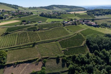 Üzüm bağları ve Beaujolais şarabı yakınlarındaki evler Beaujolais köyü, Beaujolais Şarap Yolu 'na giriş kapısı ve Fransa' nın Pierres Dores kentinin yamaçlı manzaraları.