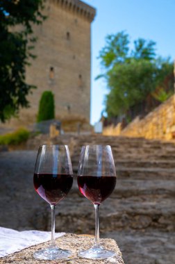 Wine tour with tasting of red dry wine and ruins of medieval castle of Chteauneuf du Pape ancient wine making village in France