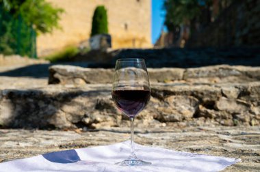 Kırmızı şarap tatma ve ortaçağ Chteauneuf du Pape şatosunun kalıntıları ile şarap turu Fransa 'da eski bir şarap köyü.