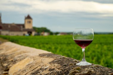 Mağaraları ziyaret edin ve Burgundy 'de şarap üreten ve arka planda şatosu olan bir bölge olan Burgundy' deki büyük ve büyük cru üzüm bağlarında cam şarap tadında kırmızı Pinot şarabı tatın.