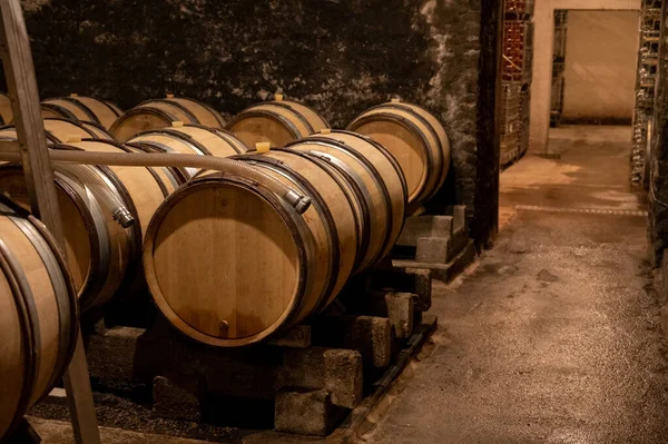 Stages Wine Production Fermentation Bottling Visit Wine Cellars Cote Burgundy — ストック写真