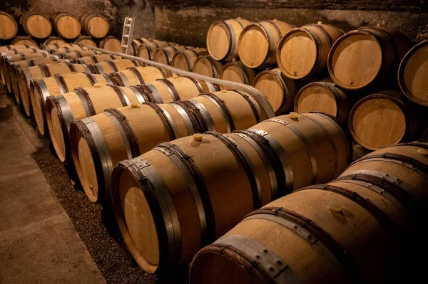 Stages Wine Production Fermentation Bottling Visit Wine Cellars Cote Burgundy — Zdjęcie stockowe
