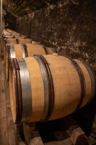 Stages of wine production from fermentation to bottling, visit to wine cellars in Cote d\'Or, Burgundy, France, Aging in wooden barrels.