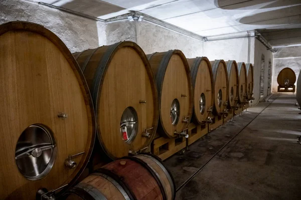 Stages Wine Production Fermentation Bottling Visit Wine Cellars Cote Burgundy — Fotografia de Stock