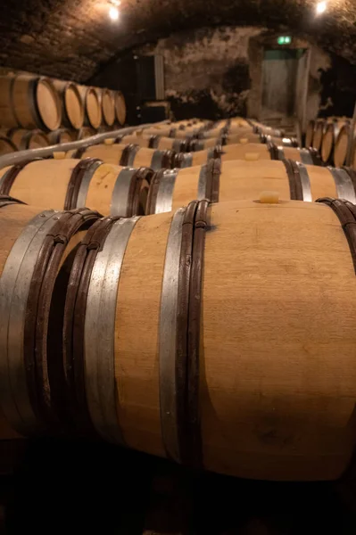 Stages Wine Production Fermentation Bottling Visit Wine Cellars Cote Burgundy — Fotografia de Stock