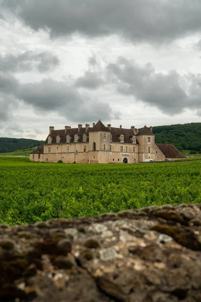 Wine Tour Tasting Red Dry Wine Ruins Medieval Castle Chteauneuf — Stock Photo, Image