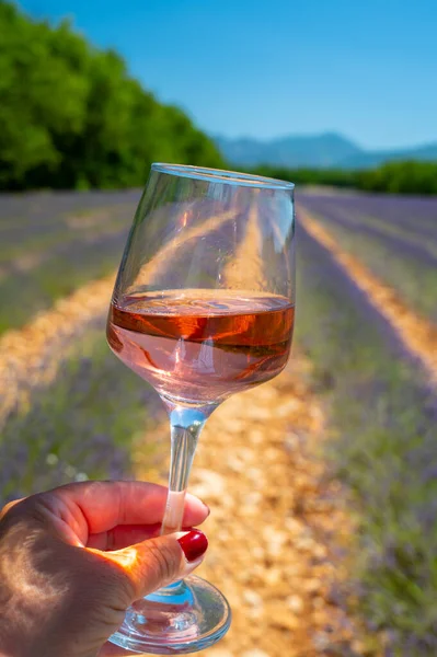 Purple Lavender Flowers Fields Blossom Valensole Provence Glass Bottle Rose — ストック写真