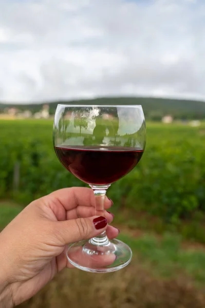 Wine Tour Tasting Red Dry Wine Ruins Medieval Castle Chteauneuf — Stockfoto