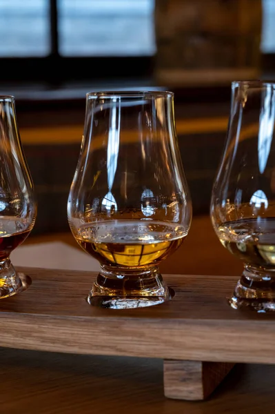 Flight Single Malt Scotch Whisky Glasses Served Bar Edinburgh Tasting — 스톡 사진