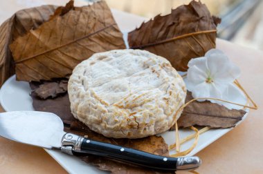 Pastörize edilmemiş keçi sütünden kestane yapraklarına sarılı Fransız peyniri banonu.