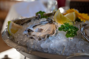 Fransız restoranında buzda limonla servis edilen taze açık istiridye deniz ürünleri yenmeye hazır.