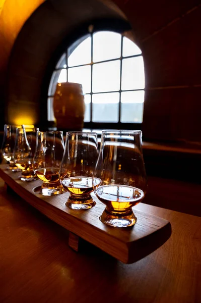 Flight Single Malt Scotch Whisky Glasses Served Bar Edinburgh Tasting — Zdjęcie stockowe