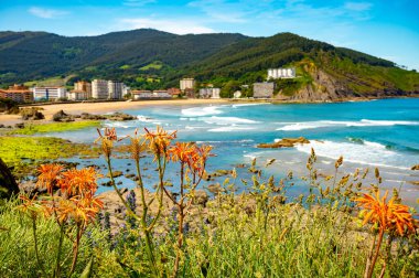 Bakio 'daki Atlantik Okyanus Koyu, Bilbao, Bask Ülkesi yakınlarındaki küçük turistik köy, İspanya