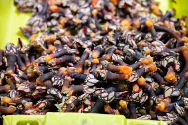 İspanya 'da balık pazarında taze balık, deniz kabuğu ve yumuşakçalardan oluşan çeşitli taze günlük avlar.