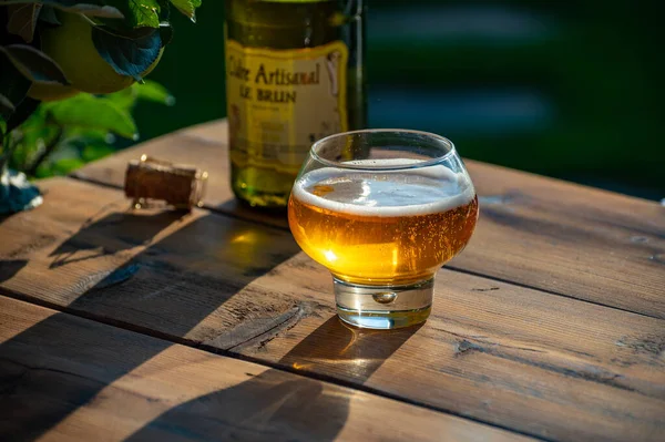 Tasting Fresh Apple Cider Brut Produced Organic Farm Bio Apples — Stock Fotó