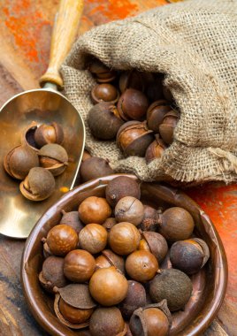 Taze taze Avustralya Macadamia fındığı hasadı kabuklu ve yapraklı.
