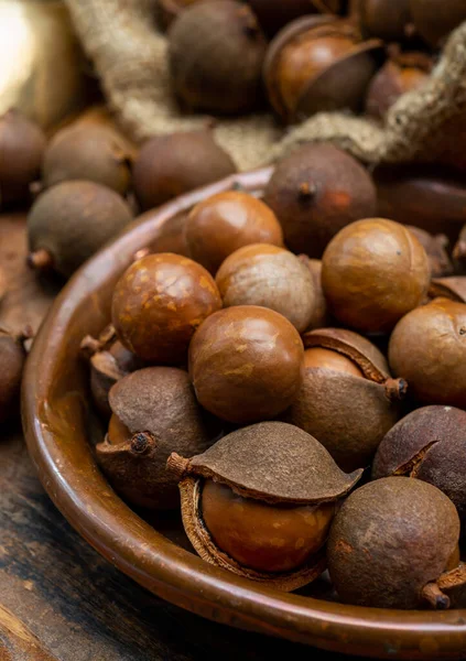 Nuova Raccolta Noci Macadamia Australiane Fresche Mature Guscio Con Foglie — Foto Stock