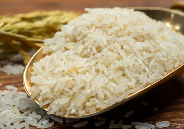 Organic white uncooked rice and dried Indian basmati rice plant onwooden table