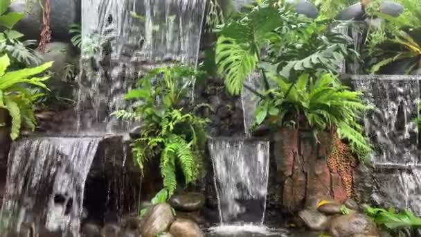 Artificial Waterfall Park Selective Focus Close Small Waterfall Green Plants — Stockvideo