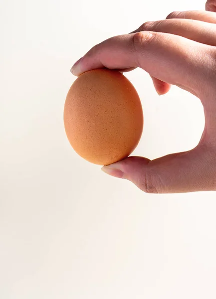 Asian Women Hand Egg Isolated White Hard Shadow — Foto de Stock